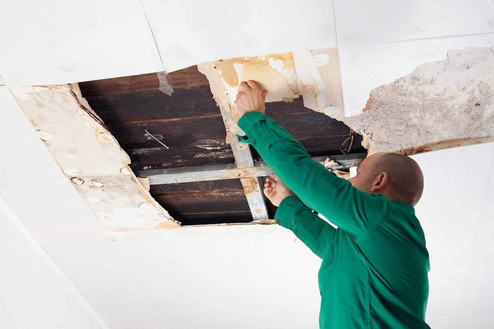 A California Water and Fire technician repairing a water-stained ceiling in a San Francisco home